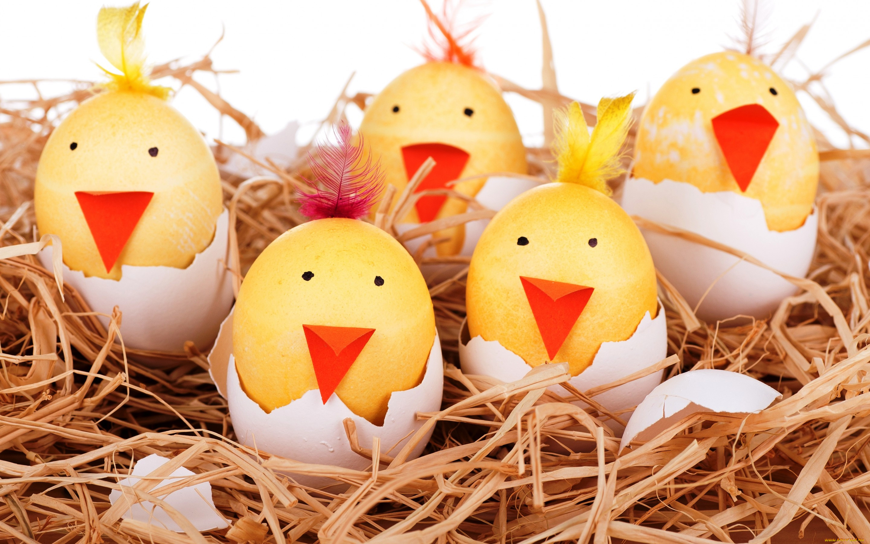 , , , , , eggs, smile, easter, funny